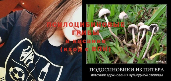 мдпв Бугульма