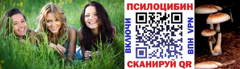 хочу   Новосиль  Псилоцибиновые грибы Psilocybe 